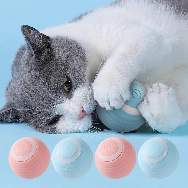 Bola Interativa Automática para Gatos