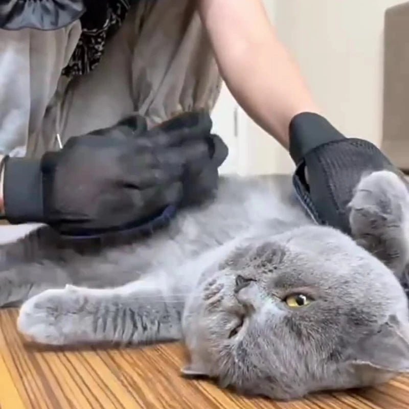 Luva de Silicone para Higiene de Pets